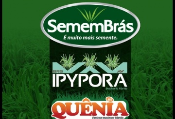 É hora de Semear!