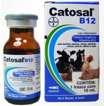 Catosal B12