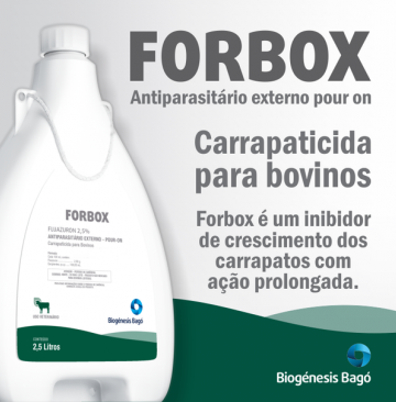 Forbox