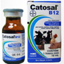 Catosal B12